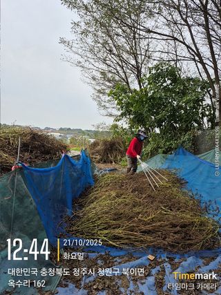 김경형님의 들깨 · 영농일지 작성글 사진