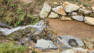 김응진님의 복숭아 · 영농일지 작성글 사진