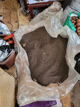 최병우님의 들깨 · 영농일지 작성글 사진