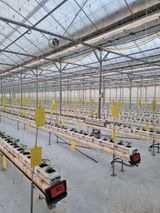 팜모닝 오이·영농일지 게시글 이미지