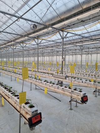 김희범님의 오이 · 영농일지 작성글 사진