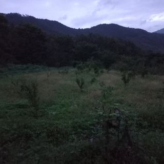 김건우님의 기타작물 · 영농일지 작성글 사진