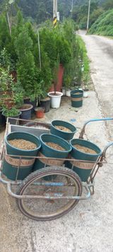 팜모닝 기타작물·영농일지 게시글 이미지