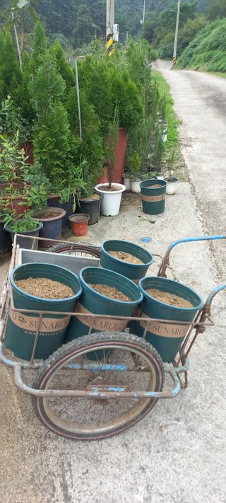 정석채님의 기타작물 · 영농일지 작성글 사진