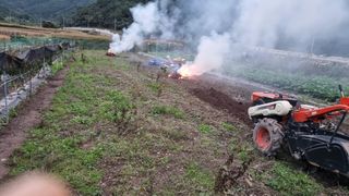 김동명님의 들깨 · 영농일지 작성글 사진