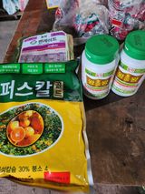 팜모닝 귤·영농일지 게시글 이미지