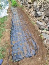 팜모닝 사과·영농일지 게시글 이미지