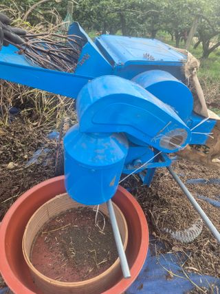 김연숙님의 기타작물 · 영농일지 작성글 사진