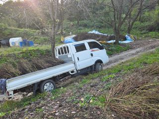 윤자용11대임후회장님의 들깨 · 영농일지 작성글 사진