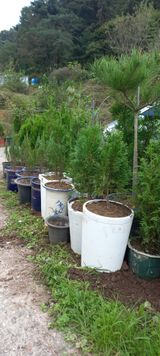 팜모닝 기타작물·영농일지 게시글 이미지