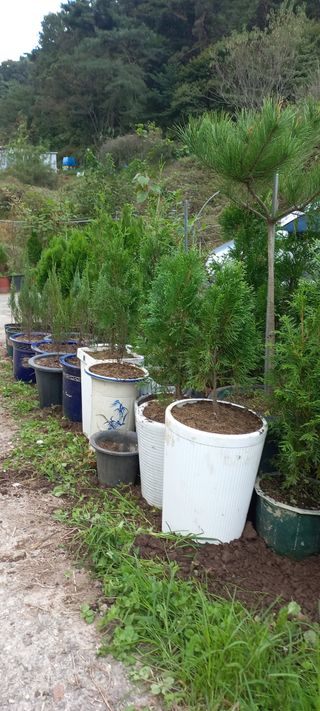 정석채님의 기타작물 · 영농일지 작성글 사진