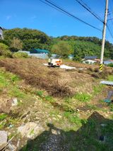 팜모닝 들깨·영농일지 게시글 이미지