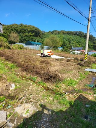 유경임님의 들깨 · 영농일지 작성글 사진