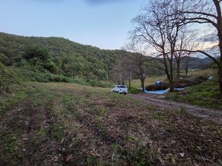 윤자용11대임후회장님의 들깨 · 영농일지 작성글 사진