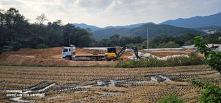 초보농부님의 벼 · 영농일지 작성글 사진