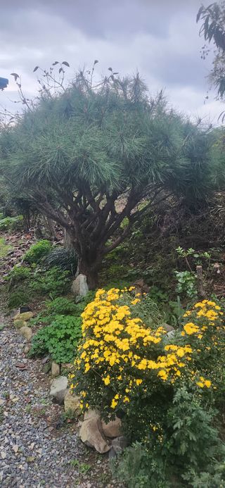 김순섭님의 기타작물 · 영농일지 작성글 사진