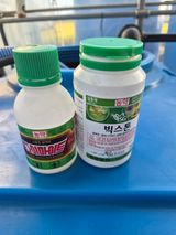 팜모닝 딸기·영농일지 게시글 이미지