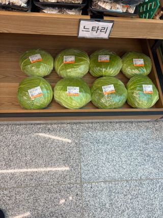 김영완님의 배추 · 영농일지 작성글 사진