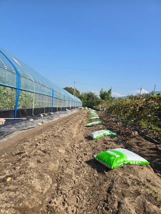 워람농장ㆍ황일택ㆍ님의 기타작물 · 영농일지 작성글 사진