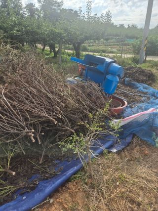 김연숙님의 기타작물 · 영농일지 작성글 사진