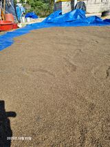 팜모닝 들깨·영농일지 게시글 이미지