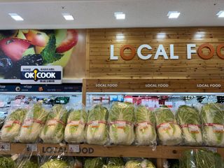 김영완님의 배추 · 영농일지 작성글 사진