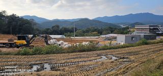 초보농부님의 벼 · 영농일지 작성글 사진