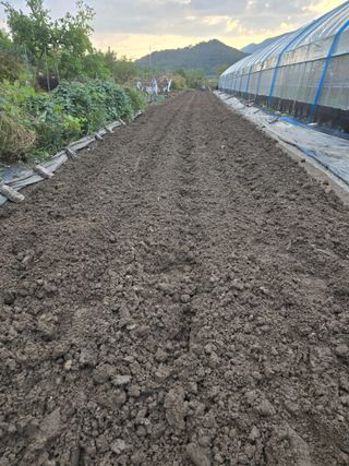 워람농장ㆍ황일택ㆍ님의 기타작물 · 영농일지 작성글 사진