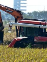 팜모닝 벼·영농일지 게시글 이미지