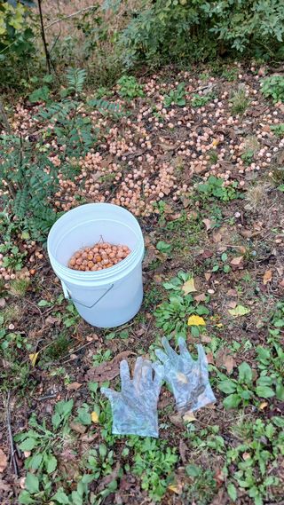 박준권님의 기타작물 · 영농일지 작성글 사진