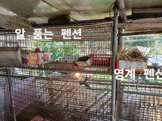 안승호님의 기타작물 · 영농일지 작성글 사진