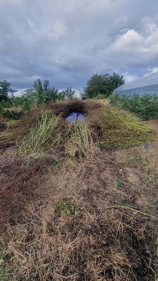 나물로61님의 기타작물 · 영농일지 작성글 사진