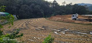 초보농부님의 벼 · 영농일지 작성글 사진