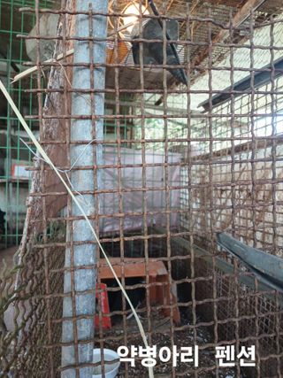 안승호님의 기타작물 · 영농일지 작성글 사진