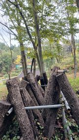 팜모닝 버섯·영농일지 게시글 이미지