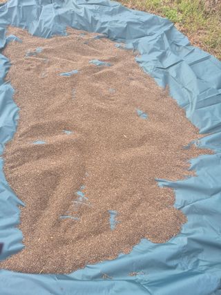 김연숙님의 기타작물 · 영농일지 작성글 사진