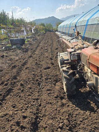 워람농장ㆍ황일택ㆍ님의 기타작물 · 영농일지 작성글 사진