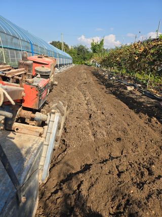 워람농장ㆍ황일택ㆍ님의 기타작물 · 영농일지 작성글 사진