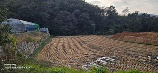 초보농부님의 벼 · 영농일지 작성글 사진