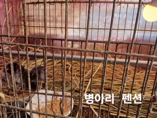 안승호님의 기타작물 · 영농일지 작성글 사진