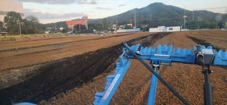 조성현님의 양파 · 영농일지 작성글 사진