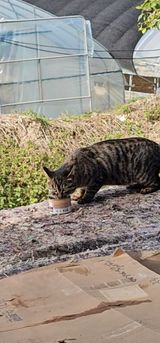 팜모닝 딸기·영농일지 게시글 이미지