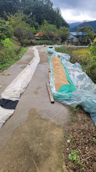 권리를위한투쟁님의 벼 · 영농일지 작성글 사진