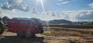 조성현님의 양파 · 영농일지 작성글 사진