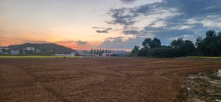 조성현님의 양파 · 영농일지 작성글 사진