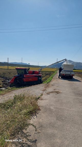 파릇파릇님의 벼 · 영농일지 작성글 사진