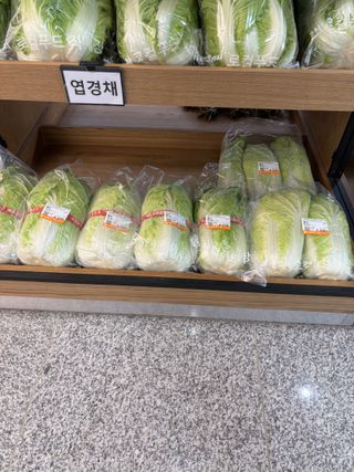 김영완님의 양배추 · 영농일지 작성글 사진