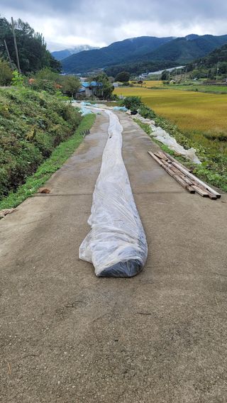 권리를위한투쟁님의 벼 · 영농일지 작성글 사진