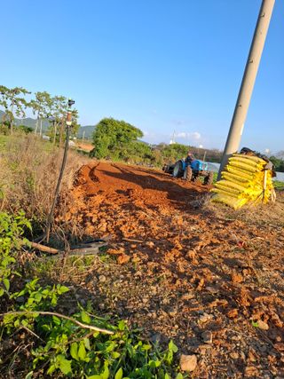 결단이님의 기타작물 · 영농일지 작성글 사진