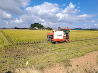 고산1128님의 벼 · 영농일지 작성글 사진